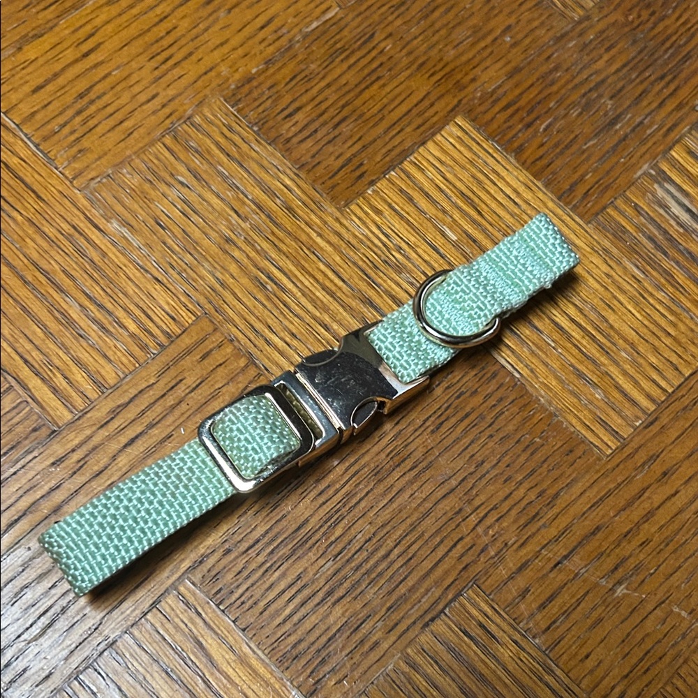 Collar Green and Gold  with gold Buckle